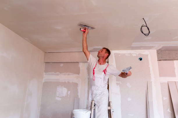 Best Exterior Painting Solutions  in Crawfordsville, IN